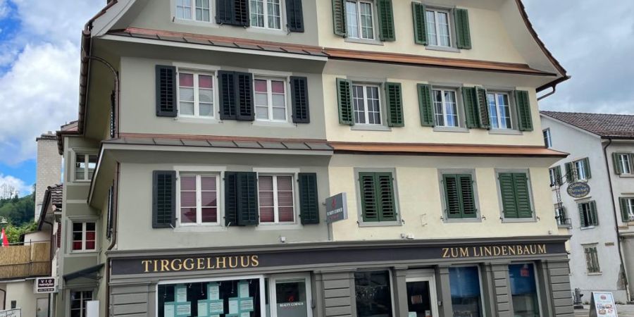 Aussenfassade-Malerarbeiten-Wohn-und-Geschaeftshaus-Heimatschutz-Beschriftung-Goldfarbe