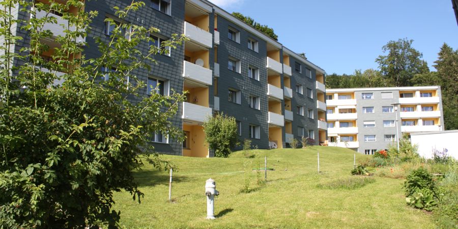Aussenfassade-Malerarbeiten-Wohnsiedlung